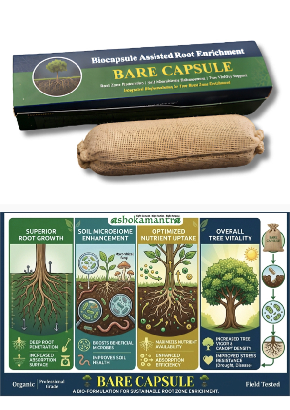 Tree BARE Capsule product back